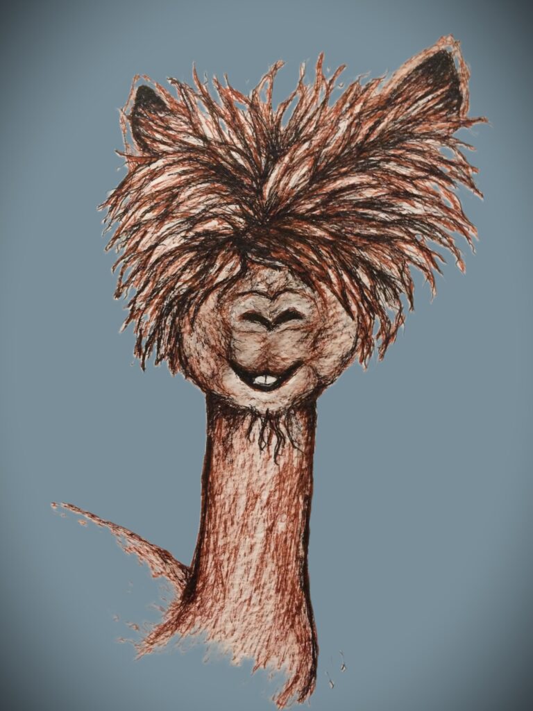 Silly lama head & neck with blue background