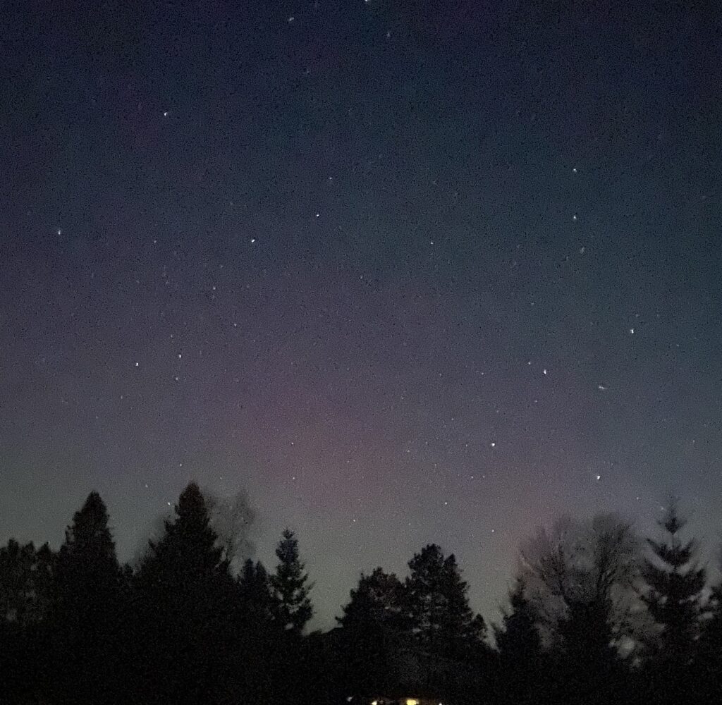 photo of the night sky with stars and trees