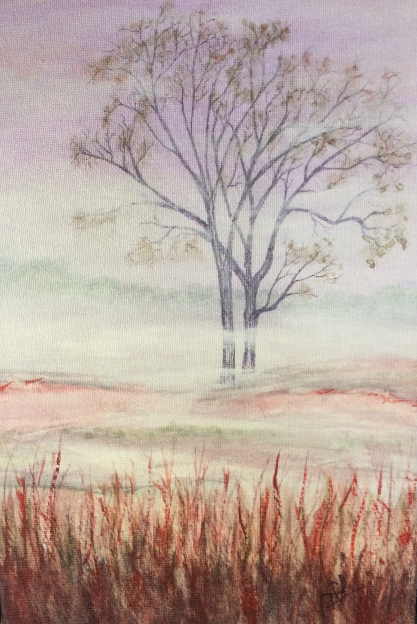Fog