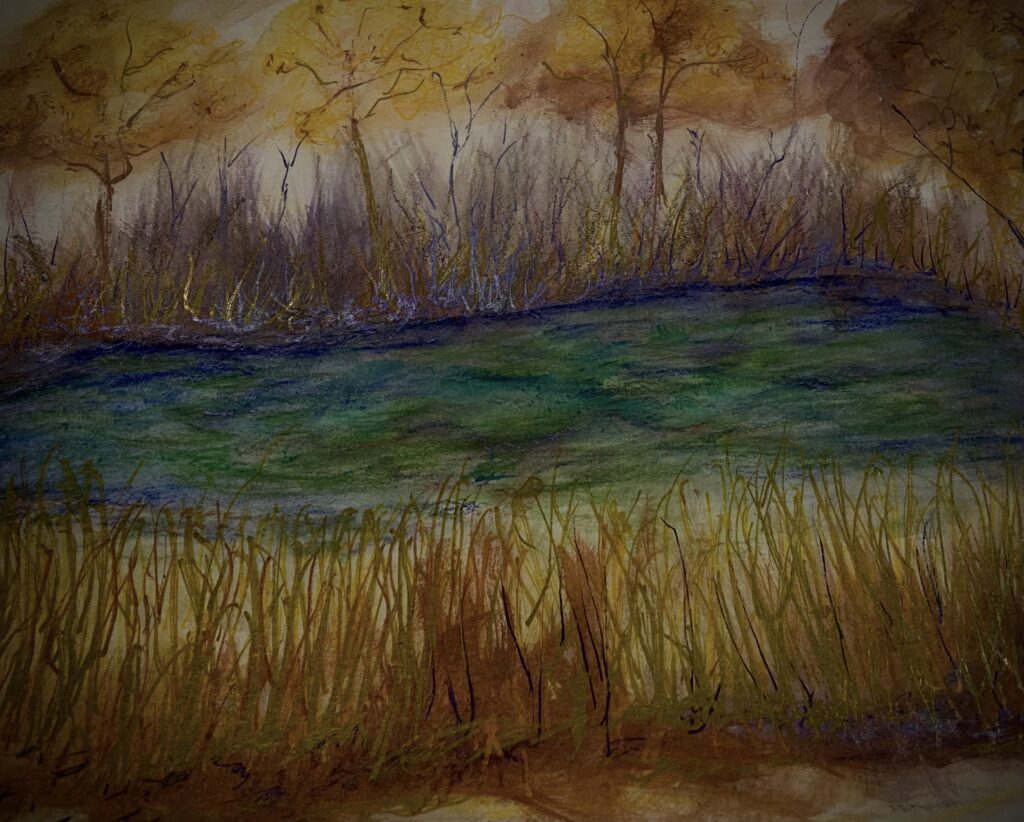 Pond with dirty, scummy water